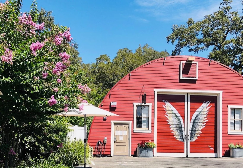 Chateau Diana Reviews 2024 Well Traveled